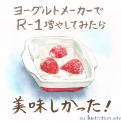 R-1をヨーグルトメーカーで増やしてみました