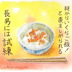 試練の、いくらご飯