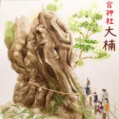＜御神木が大迫力！来宮神社＞