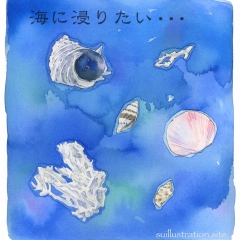 海の落し物