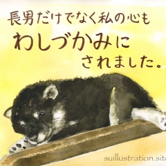長男も私も、思わず一目惚れしてしまいました。