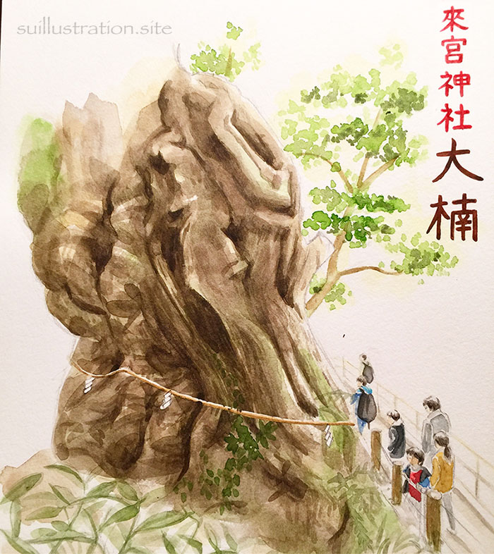 ＜御神木が大迫力！来宮神社＞