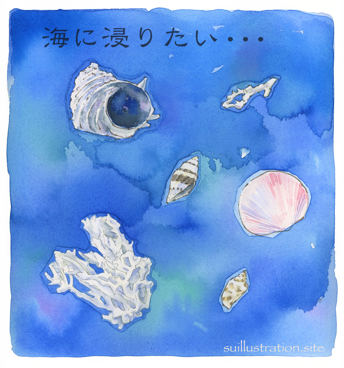 海の落し物