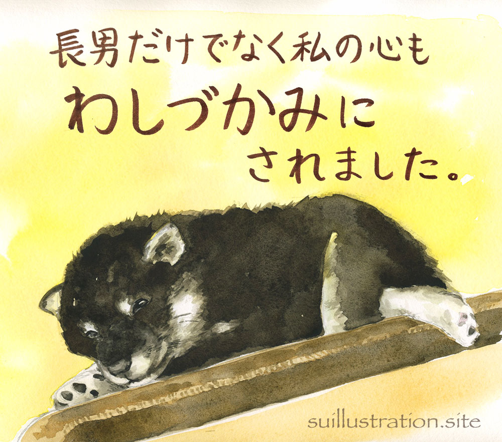 長男も私も、思わず一目惚れしてしまいました。