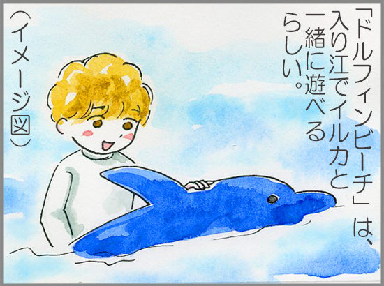 下田海中水族館は、ほんとにイルカとの距離が近い！